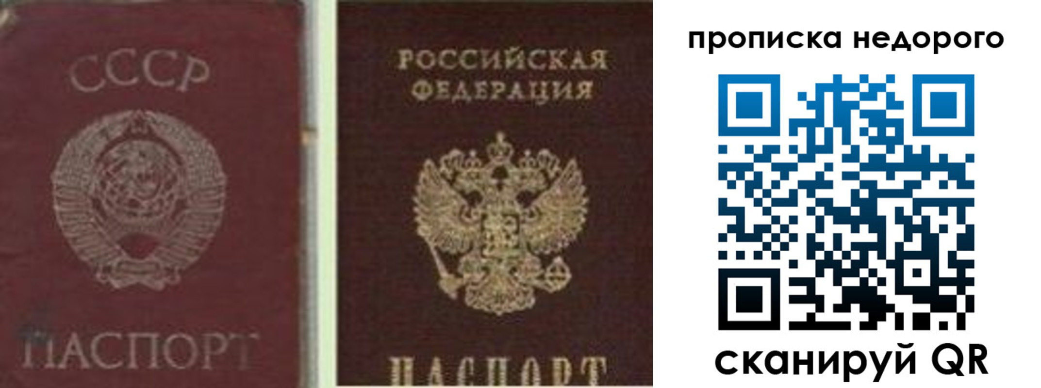 временная регистрация поиск в Новотроицке